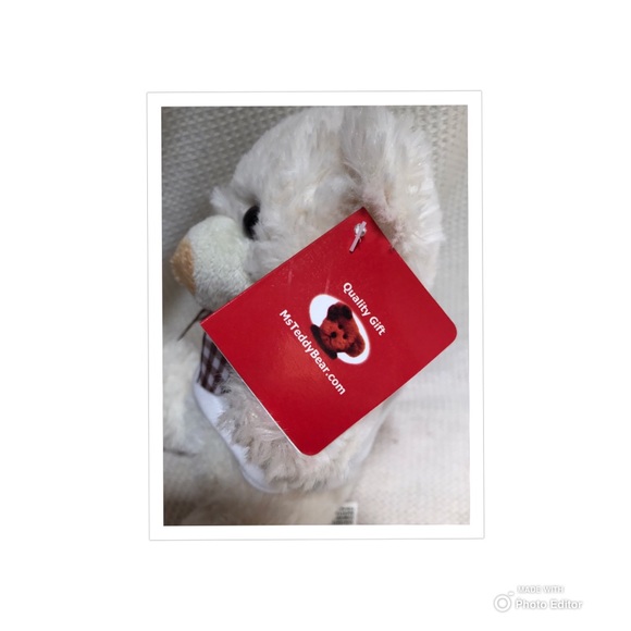 KIWANIS CLUB COLLECTIBLE PLUSH TEDDY BEAR STUFFED - Picture 6 of 9